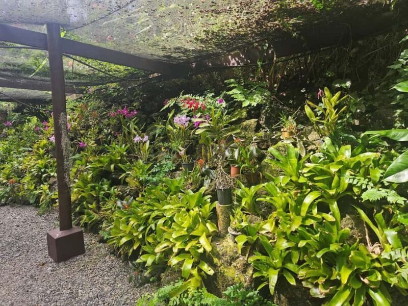 Best of Nadi Highlights - Who Will Love This Tour?