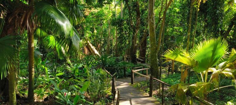 Best of Nadi Highlights - FAQ