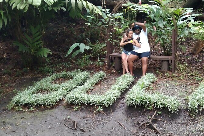 Best of Nadi Sightseeing - Who Is This Tour Best For?