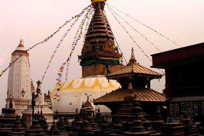 Best of Nepal Luxury Tour Package - 8 Days - Chitwan National Park Experience