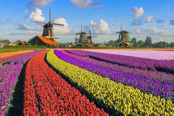 Best of Netherlands: Zaanse Schans Mills, The Hague & Rotterdam - Return to Amsterdam