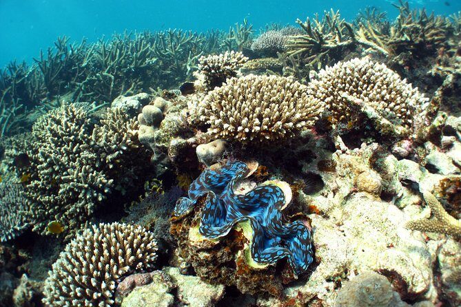 Best of Ningaloo Mantas and More - Final Thoughts: Is It Worth It?