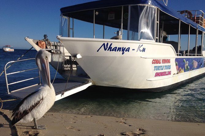 Best of Ningaloo Mantas and More - FAQs