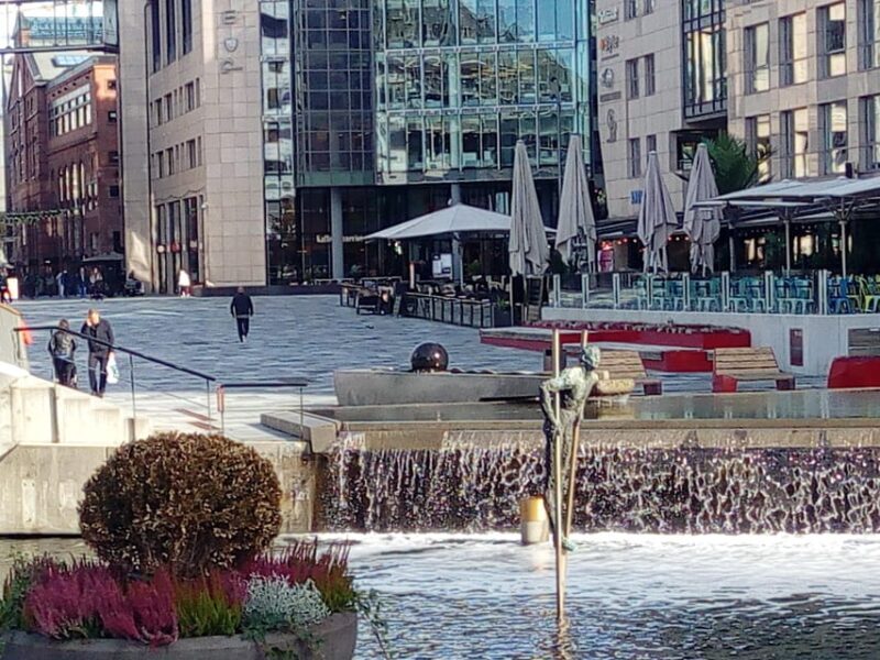Best of Oslo: Walking Tour with a local guide - The Sum Up