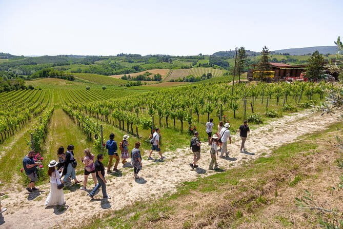 Best of Pisa, Lucca, Volterra: Small Group Tour from Florence - Frequently Asked Questions