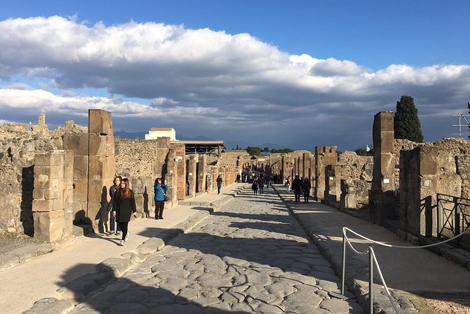 Best of Pompeii and Herculaneum With an Expert Archaeologist - Highlights of the Guided Tour
