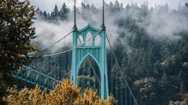 Best of Portland: Private Walking Tour with a Local - Meeting Point and Practicalities