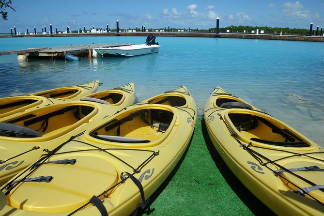 Best-of-Providenciales Buggy Sightseeing Tour - Customer Feedback