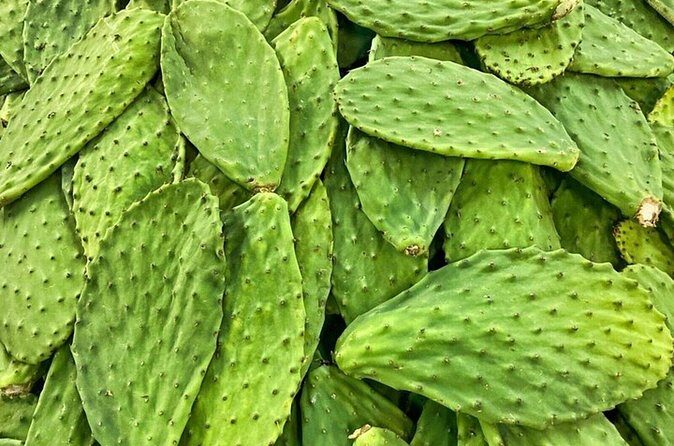 Best of Roma Sur Food Crawl in Mexico City - The Sum Up: Who Will Love This Tour?