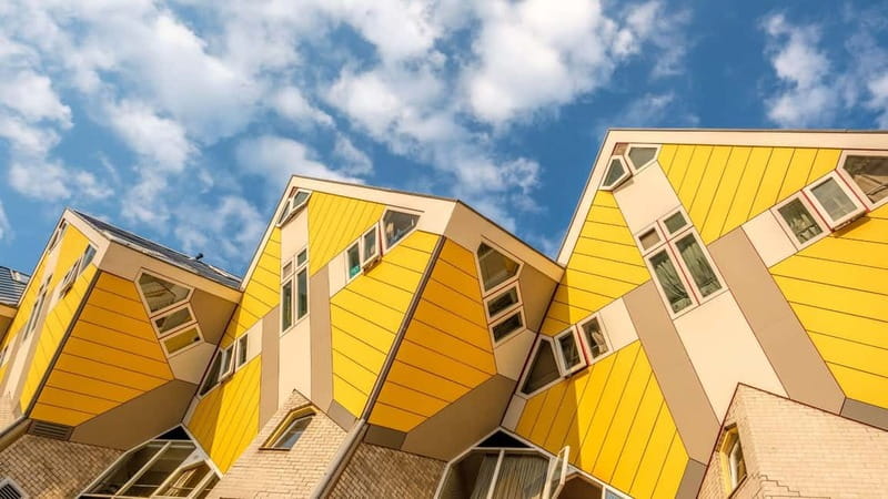 Best of Rotterdam: Private Walking Tour with a Local - Key Points