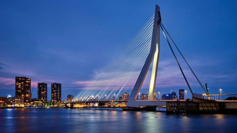 Best of Rotterdam: Private Walking Tour with a Local - The Price and Its Value