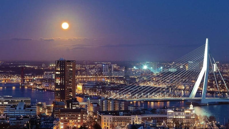 Best of Rotterdam: Private Walking Tour with a Local - Authentic Rotterdam Experiences