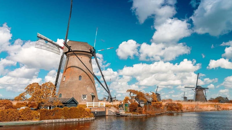 Best of Rotterdam: Private Walking Tour with a Local - The Sum Up