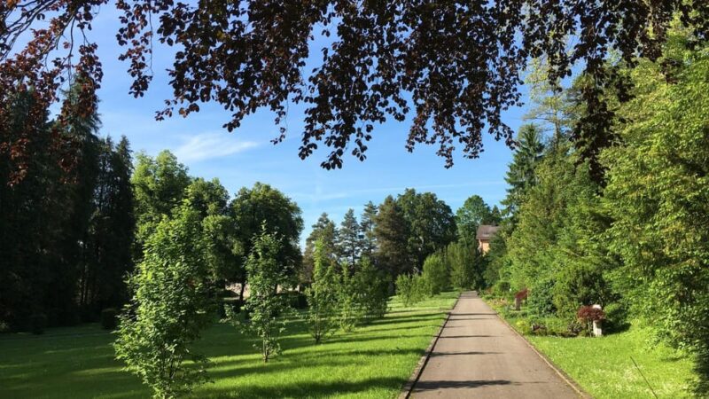 Best of Sankt Gallen: Private Walking Tour With a Local - Historic Charm of the Old Town