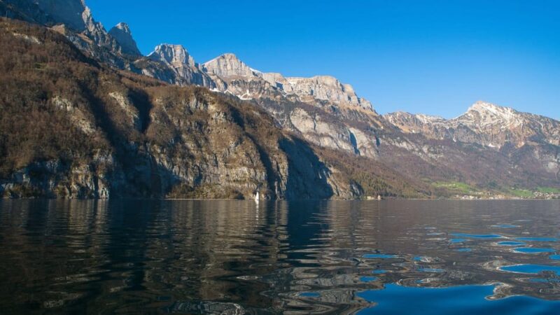 Best of Sankt Gallen: Private Walking Tour With a Local - Peaceful Drei Weieren and Scenic Views