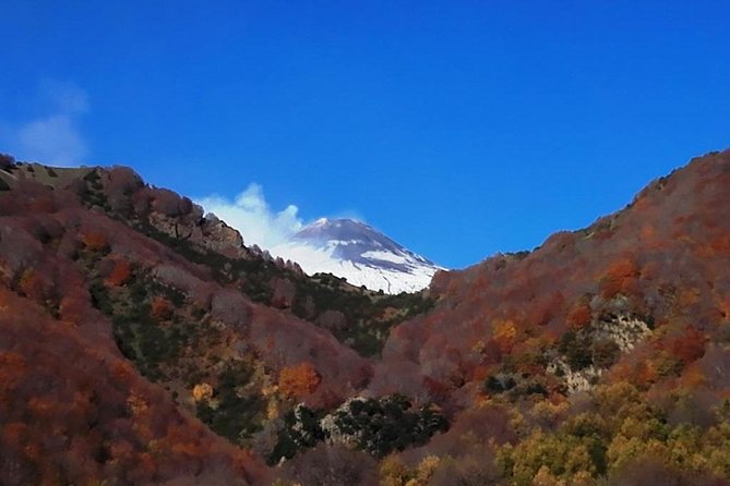 Best Of Sicily Shore Excursion: Etna, Taormina, Castelmola - 10 Persons Max - Visiting Picturesque Castelmola