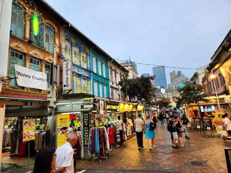 Best of Singapore - Full Day Private Tour - A Deep Dive into the Tour Experience