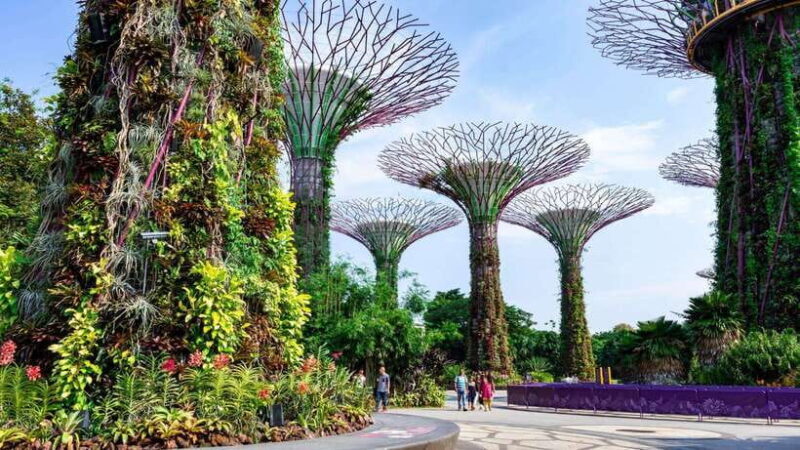 Best of Singapore: Private Walking Tour with a Local - Best of Singapore: Private Walking Tour with a Local