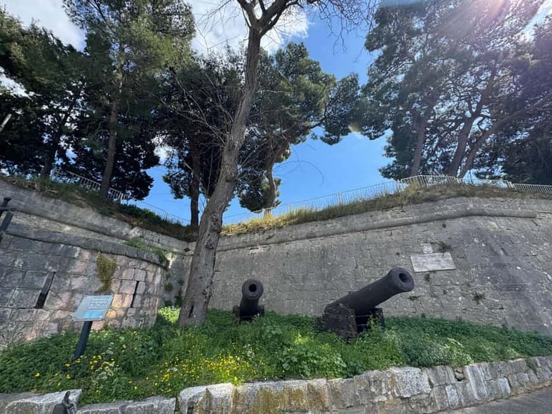 Best of Split: Half Day Tour - Who Should Consider This Tour?  