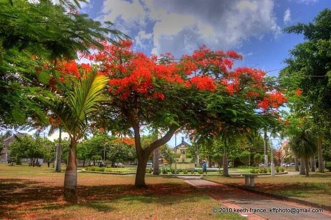 Best of St. Kitts Private Half Day Tour - FAQs About the Best of St. Kitts Half-Day Tour