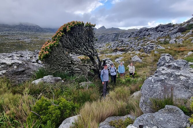 BEST of Table Mountain! Exhilarating Full-day Guided Hike - Good To Know