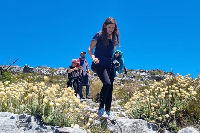 BEST of Table Mountain! Exhilarating Full-day Guided Hike - Practical Information and Policies