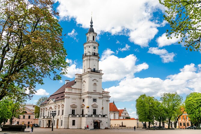 Best of Tallinn Upper and Lower Town Tour for Cruise Passengers - Meeting Point and Schedule