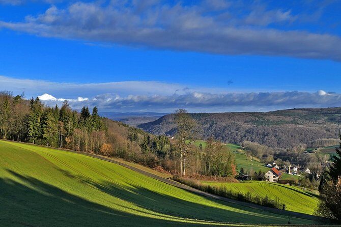 Best of the Black Forest and Rhinefalls from Zurich - An Honest Look at the Best of the Black Forest and Rhinefalls from Zurich