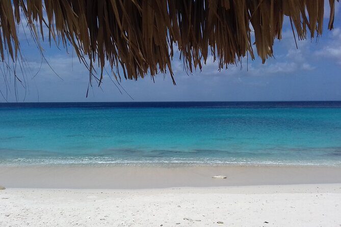 Best of the West: Shete Boka, Flamingos, Kalki Beach and Kenepa - Key Points