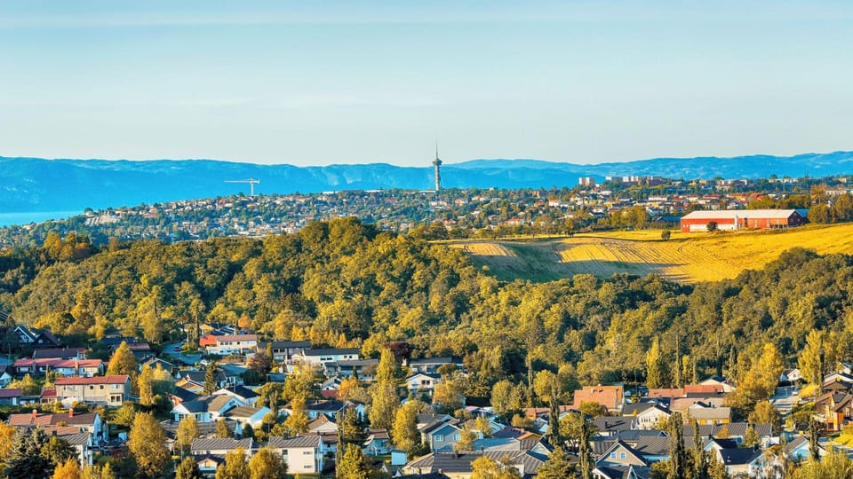 Best of Trondheim: Private Walking Tour with a Local - Final Thoughts