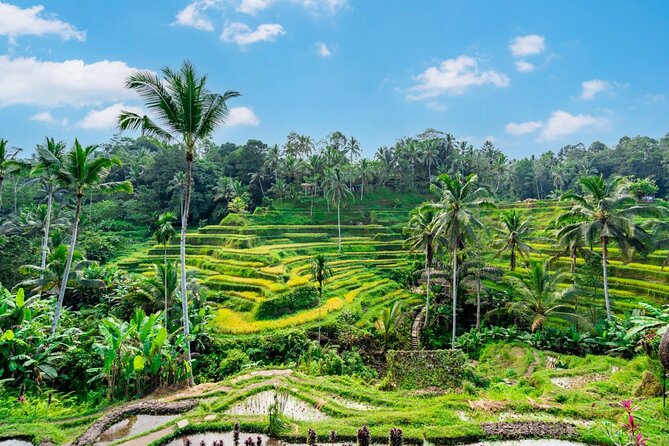 Best of Ubud Full-Day Tour With Entry Tickets - Cancellation Policy