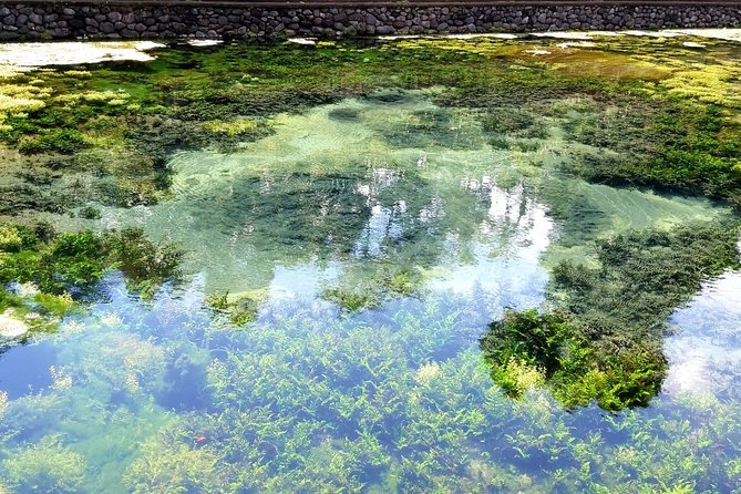Best of Ubud - Kintamani Volcano View - Private Tour - Scenic Tegalalang Rice Terrace