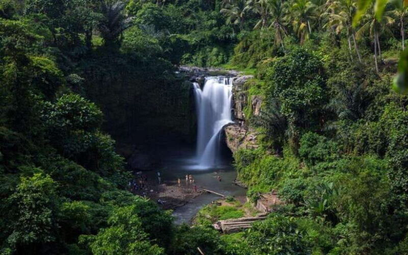 Best of Ubud - Private Guided Full-Day Tour, Ubud, Bali - Tegalalang Rice Terrace: Panoramic Views and Cultural Insights