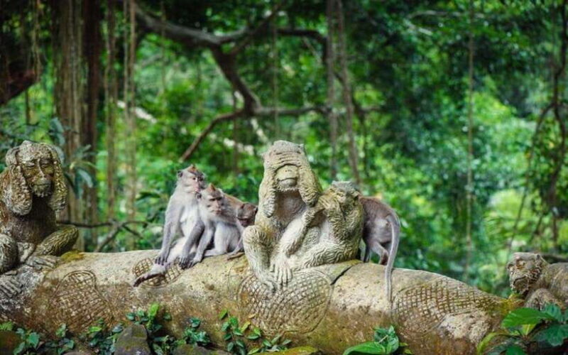 Best of Ubud - Private Guided Full-Day Tour, Ubud, Bali - Who Will Love This Tour?