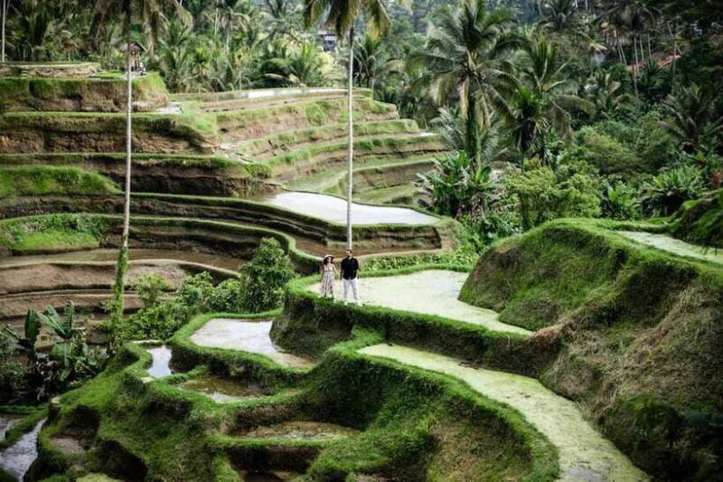 Best Of Ubud Purification Rice Terrace and Waterfall - Final Thoughts