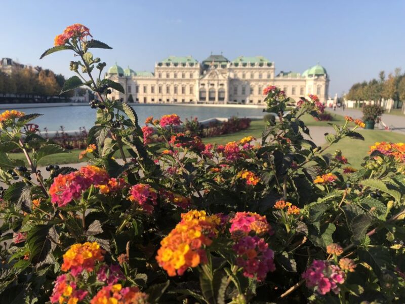 Best of Vienna City Tour - Tour Logistics