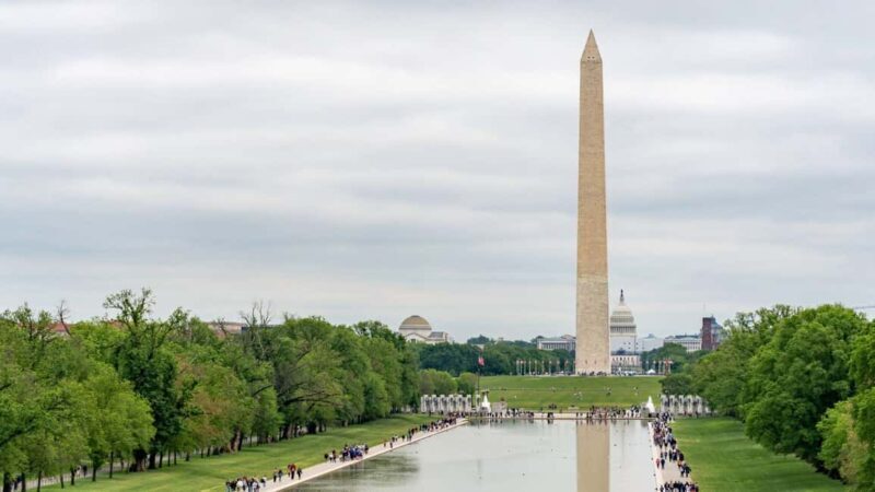 Best of Washington: Private Walking Tour with a Local - Real Experiences and Honest Feedback