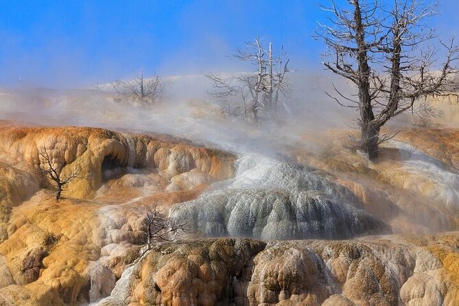 Best Of Yellowstone Full Day Natl Park Tour From Bozeman - Meeting and Pickup Details