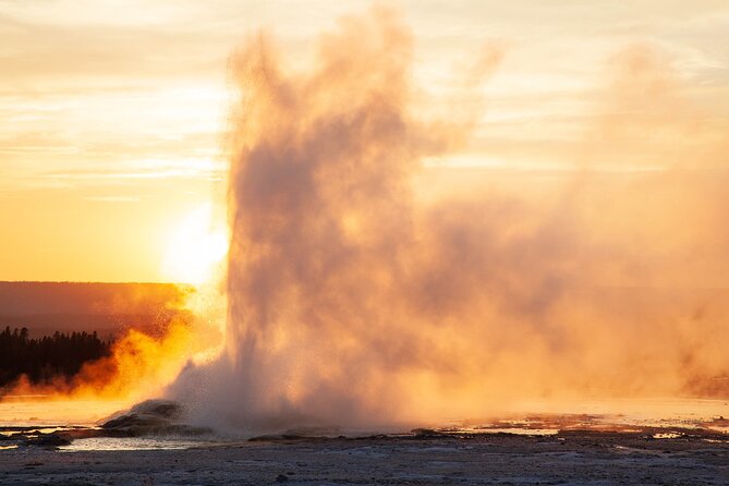 Best of Yellowstone Guided Tour From Bozeman - Private Tour - Included Highlights