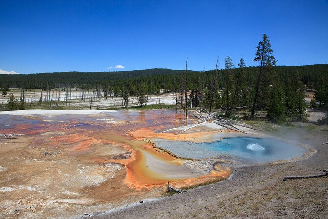 Best of Yellowstone Guided Tour From Bozeman - Private Tour - Price and Duration
