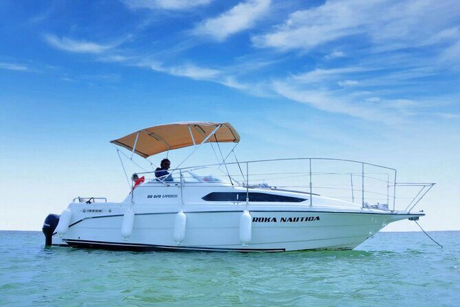 Best Private Punta Cana Snorkeling Tour & Natural Pool Stop - What to Expect from the Experience