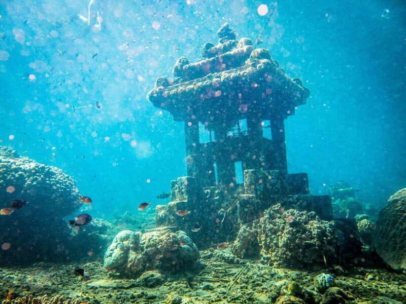 Best site for Course Diving in Amed - What to Expect from the Amed Diving Course
