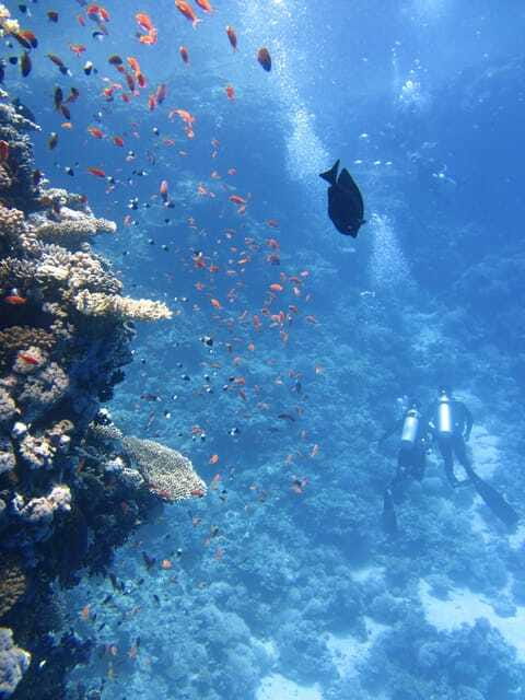 Best site for Course Diving in Amed - Detailed Breakdown of the Itinerary
