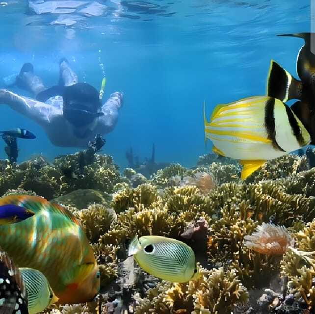 Best Snorkeling Adventure in Bali with Exciting Activities - Practical Tips for Travelers