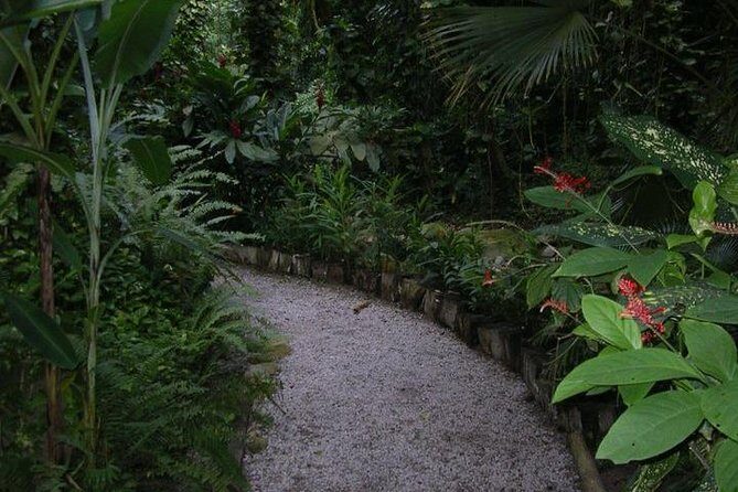 Best Soufiere Round the Island Tour - A Closer Look at the Tour Overview