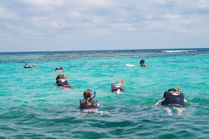 Best SpeedBoat and Snorkeling tour with Transfer from Cancun - Value and Pricing Analysis