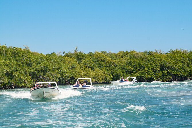 Best SpeedBoat and Snorkeling tour with Transfer from Cancun - Who Should Consider This Tour?