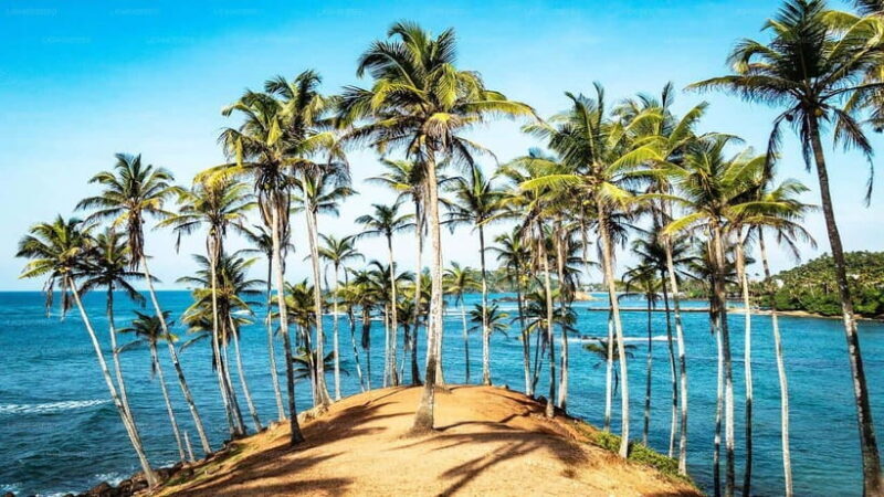 Best Sri Lanka Travel Guide: Top Attractions Discover - Authenticity and Cultural Experiences