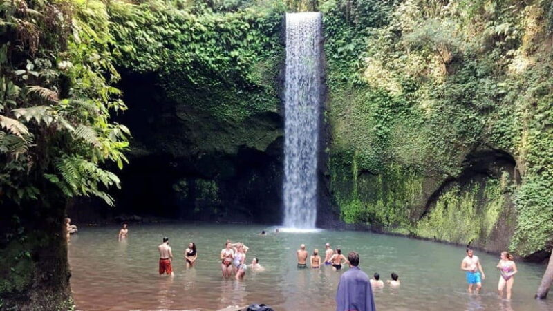 Best Ubud Rice Terrace, Waterfall, Temple Private Transfers - Detailed Review of the Ubud Private Tour