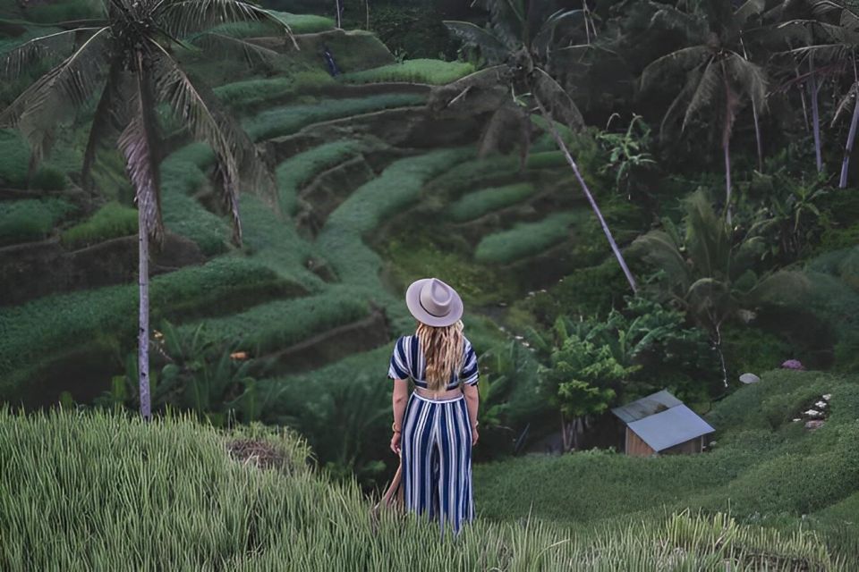 Best Ubud Tour - Transportation Details